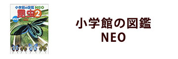 小学館の図鑑NEO 深海生物 DVDつき／藤原義弘｜絵本のギフト通販