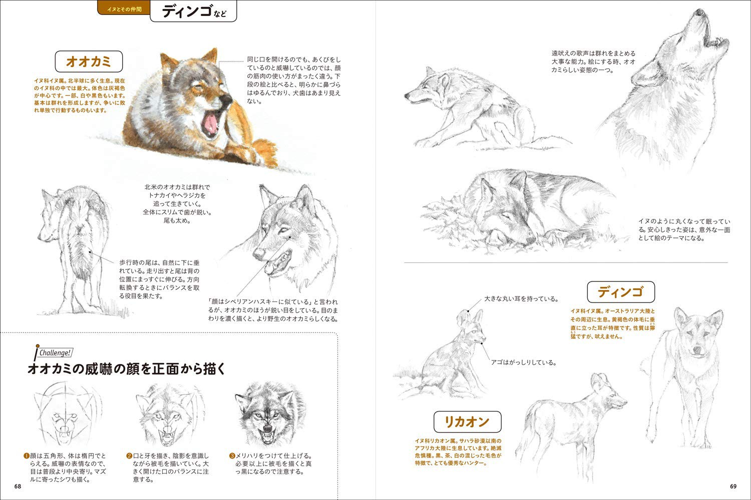 動物を描こう - 株式会社玄光社