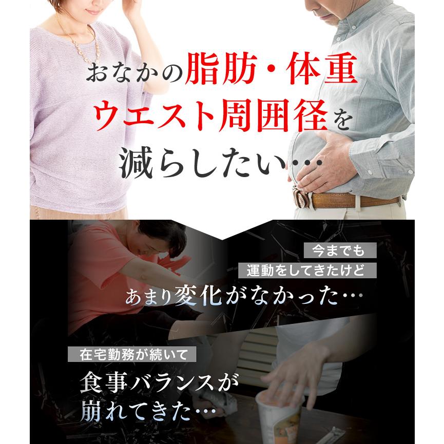 メタバリア プレミアムEX 60日分 480粒 (30日分袋タイプ 240粒 ×2個