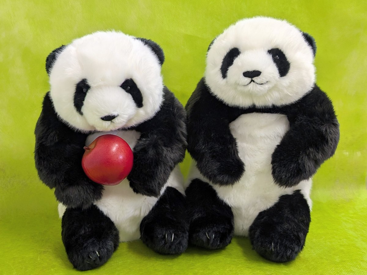 園内ギフトショップより】 「ぬいぐるみ 抱っこミニ」 シャオシャオ