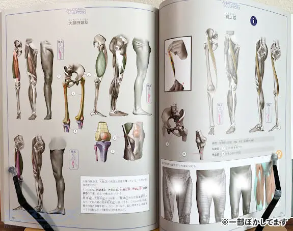 スカルプターのための美術解剖学をレビュー！図解で理解する人体構造を