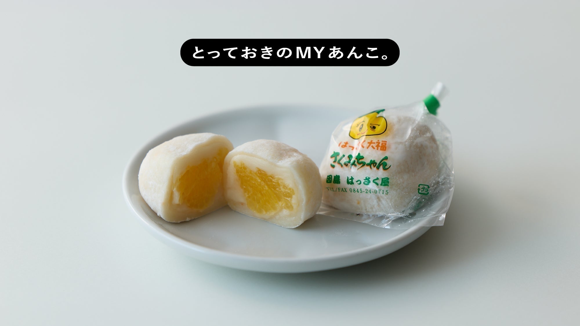 とっておきのMYあんこ。vol.027 大阪屋の〈煉羊羹〉- 熊倉真次 – 煎茶