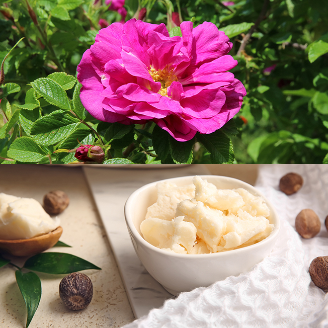 数量限定】NEROLILA（ネロリラ）リッププランパー シアーレッド 5g