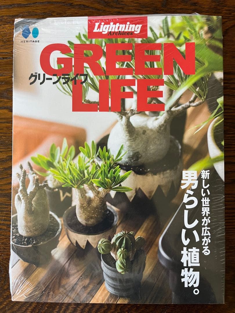 送料込み 貴重 ライトニング lightning グリーンライフ 別冊Lightningシリーズ Vol.207 グリーンライフ (発売日2019年06月17日