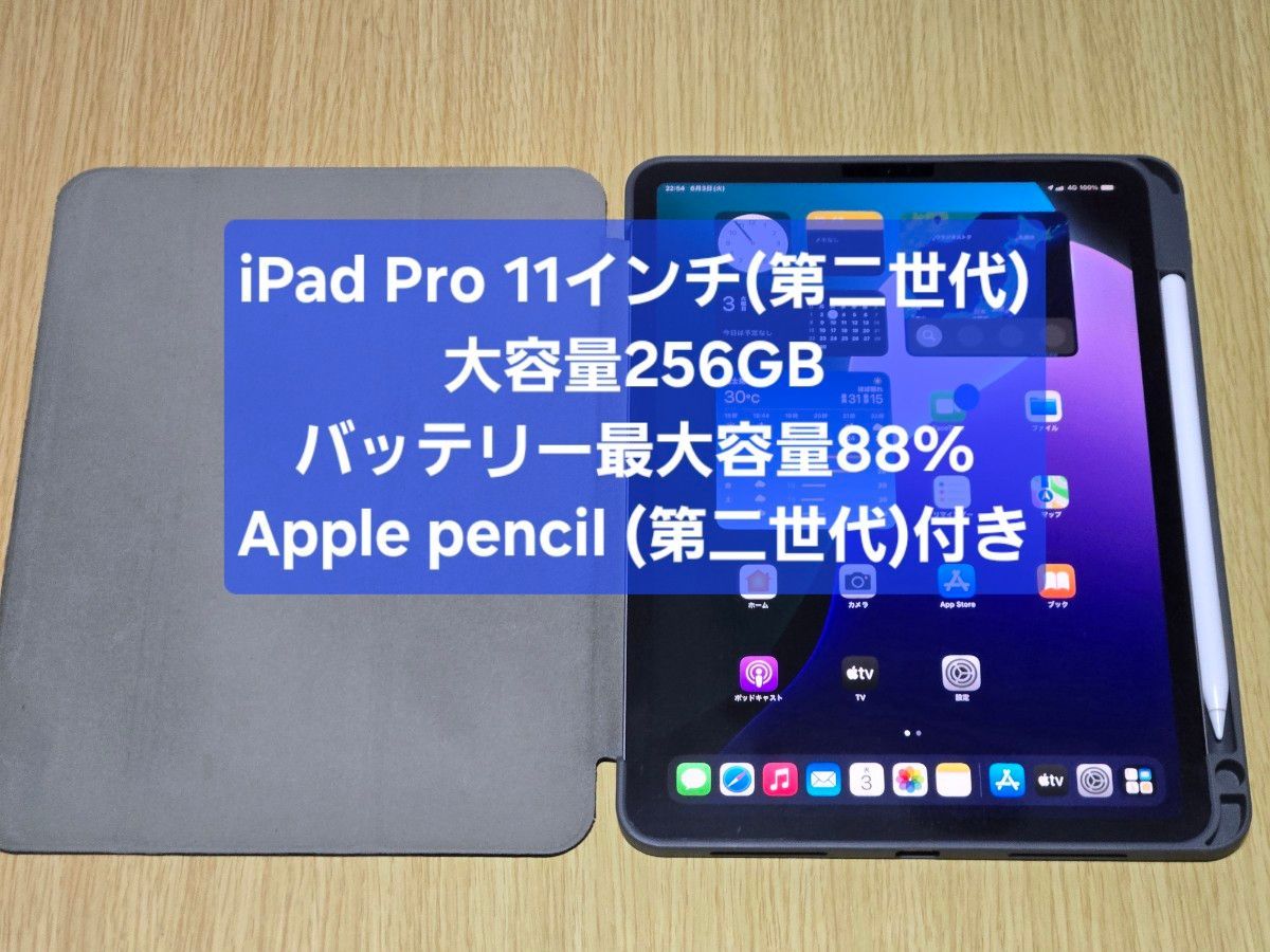 iPad Pro 11インチ(第二世代) Wi-Fi + Cellular 256GB Apple pencil(第